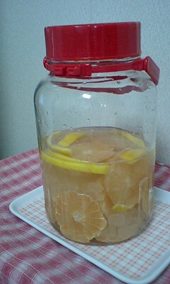080531_1728~0001.jpg